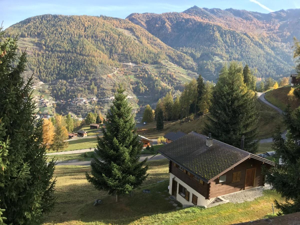 Chalet Le Fertin La Tzoumaz Bagian luar foto
